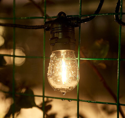 Solar String Lights